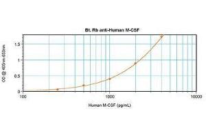 Image no. 2 for anti-Colony Stimulating Factor 1 (Macrophage) (CSF1) antibody (Biotin) (ABIN465550) (M-CSF/CSF1 antibody  (Biotin))