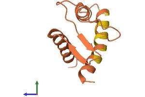 AlphaFold protein structure predicition of Human Recombinant LINC01560 Protein, UniprotID Q8TB33