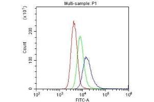 Flow Cytometry analysis of U937 cells using anti-CD31 antibody . (CD31 antibody  (AA 28-382))