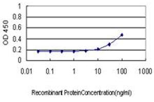 Detection limit for recombinant GST tagged CD96 is approximately 3ng/ml as a capture antibody. (CD96 antibody  (AA 1-402))