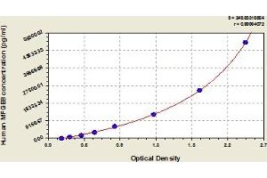 MFGE8 ELISA Kit