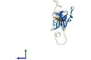 AlphaFold protein structure predicition of Mouse Recombinant Kcnj12 Protein, UniprotID P52187 (Kir2.2 Protein (AA 1-427) (His tag))