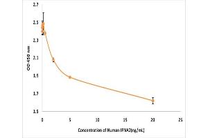 Activity Assay (AcA) image for Interferon, alpha 2 (IFNA2) (Active) protein (ABIN5509397) (IFNA2 Protein)