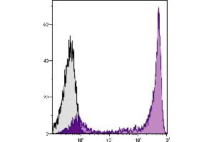 BALB/c mouse bone marrow cells were stained with Rat Anti-Mouse Ly-6G/Ly-6C-APC/CY7. (LY6C + LY6G antibody (APC-Cy7))