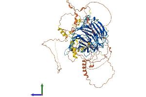 AlphaFold protein structure predicition of Mouse Recombinant Bcas3 Protein, UniprotID Q8CCN5