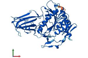 AlphaFold protein structure predicition of Mouse Recombinant Acot5 Protein, UniprotID Q6Q2Z6