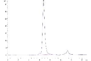 The purity of Biotinylated Human FGFR4 is greater than 95 % as determined by SEC-HPLC. (FGFR4 Protein (His-Avi Tag,Biotin))