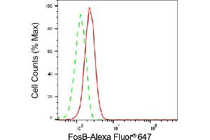 Flow cytometric analysis of FosB expression in HepG2 cells using FosB antibody (ABIN7798587), 1:2,000).