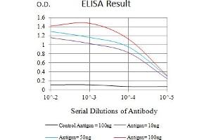 Black line: Control Antigen (100 ng),Purple line: Antigen (10 ng), Blue line: Antigen (50 ng), Red line:Antigen (100 ng) (LRP12 antibody  (AA 355-492))