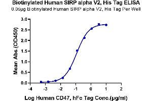 Immobilized Biotinylated Human SIRP alpha V2, His Tag at 0. (SIRP AlphaV2 (AA 31-369) protein (His-Avi Tag,Biotin))