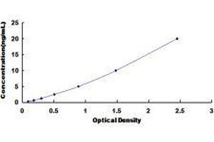 Neuropeptide Y Receptor Y1 (NPY1R) ELISA Kit