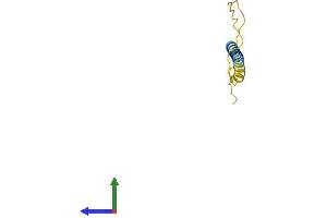 Protein Structure (PS) image for Leukocyte Specific Transcript 1 (LST1) (AA 1-95) protein (His tag) (ABIN7562212)
