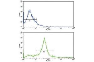 Flow Cytometry (FACS) image for anti-Receptor Tyrosine-Protein Kinase ErbB-3 (ERBB3) (AA 24-55) antibody (ABIN3029524)