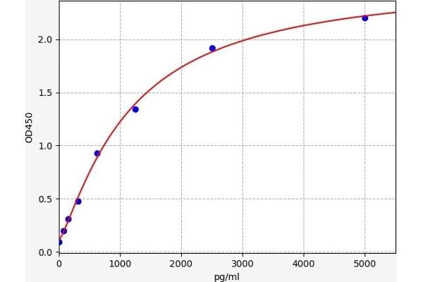 LYVE1 ELISA Kit