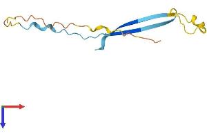 AlphaFold protein structure predicition of Human Recombinant SPANXB1 Protein, UniprotID Q9NS25 (SPANXB1 Protein (AA 1-103) (His tag))