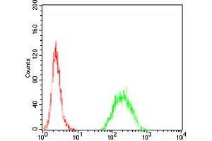 Flow cytometric analysis of Hela cells using TIP60 mouse mAb (green) and negative control (red).