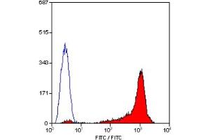 Staining of rat thymus cells with MOUSE ANTI RAT CD90 (THY-1. (CD90 antibody  (FITC))