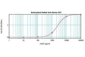Image no. 1 for anti-KIT Ligand (KITLG) antibody (Biotin) (ABIN465802) (KIT Ligand antibody  (Biotin))