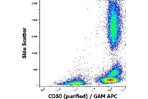 ICAM-3/CD50 antibody