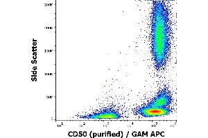 Flow cytometry surface staining pattern of human peripheral whole blood stained using anti-human CD50 (MEM-171) purified antibody (concentration in sample 0,6 μg/mL, GAM APC).