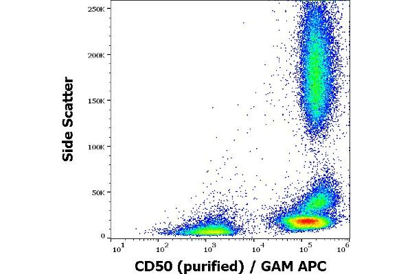 ICAM-3/CD50 antibody