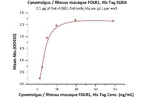 ELISA image for Folate Receptor 1 (Adult) (FOLR1) (AA 25-233) (Active) protein (His tag) (ABIN5674653)