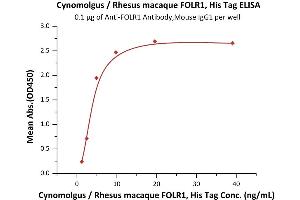 Immobilized A Antibody,Mouse IgG1 at 1 μg/mL (100 μL/well) can bind Cynomolgus / Rhesus macaque FOLR1, His Tag (ABIN5674653,ABIN6386457) with a linear range of 1-5 ng/mL (Routinely tested). (FOLR1 Protein (AA 25-233) (His tag))
