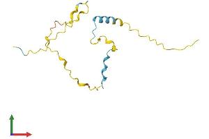 AlphaFold protein structure predicition of Mouse Recombinant Prr13 Protein, UniprotID Q9CQJ5