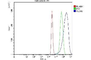 anti-Aldehyde Dehydrogenase 2 Family (Mitochondrial) (ALDH2) (AA 18-48), (N-Term) antibody