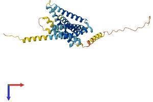 AlphaFold protein structure predicition of Mouse Recombinant Mrgprb8 Protein, UniprotID Q7TN51 (MRGPRB8 Protein (AA 1-330) (His tag))