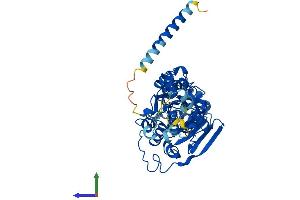 AlphaFold protein structure predicition of Mouse Recombinant Mocs3 Protein, UniprotID A2BDX3 (MOCS3 Protein (AA 1-460) (His tag))