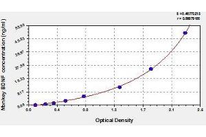Typical standard curve (BDNF ELISA Kit)
