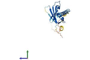 Protein Structure (PS) image for DNA-Damage-Inducible Transcript 4-Like (DDIT4L) (AA 1-193) protein (His tag) (ABIN7547015)