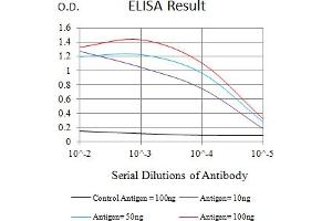 Black line: Control Antigen (100 ng),Purple line: Antigen (10 ng), Blue line: Antigen (50 ng), Red line:Antigen (100 ng) (FZD4 antibody  (AA 37-222))