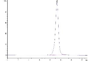 Size-exclusion chromatography-High Pressure Liquid Chromatography (SEC-HPLC) image for Folate Receptor 2 (Fetal) (FOLR2) (AA 9-187) protein (His tag) (ABIN7274663)