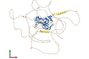 AlphaFold protein structure predicition of Human Recombinant TBX3 Protein, UniprotID O15119 (TBX3 Protein (AA 1-743) (His tag))