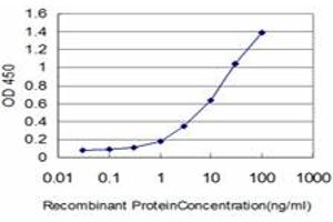Detection limit for recombinant GST tagged HOXA11 is approximately 0. (Homeobox A11 antibody  (AA 60-166))