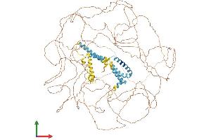 AlphaFold protein structure predicition of Human Recombinant RTN4 Protein, UniprotID Q9NQC3 (Reticulon 4 Protein (RTN4) (AA 1-1192) (His tag))