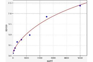 Typical standard curve (Pro BDNF ELISA Kit)