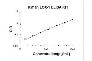 Oxidized Low Density Lipoprotein (Lectin-Like) Receptor 1 (OLR1) ELISA Kit