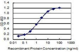 Detection limit for recombinant GST tagged ZNF12 is 0. (ZNF12 antibody  (AA 69-175))