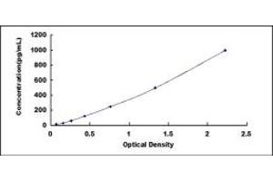 Typical standard curve (BMP8A ELISA Kit)