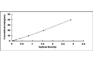 G Protein Coupled Receptor 131 ELISA Kit