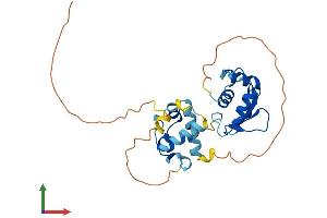AlphaFold protein structure predicition of Human Recombinant ELF5 Protein, UniprotID Q9UKW6