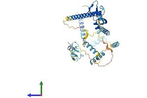 AlphaFold protein structure predicition of Mouse Recombinant Zfyve19 Protein, UniprotID Q9DAZ9 (ZFYVE19 Protein (AA 1-389) (His tag))