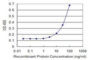 Detection limit for recombinant GST tagged UGT1A3 is 1 ng/ml as a capture antibody. (UGT1A3 antibody  (AA 30-129))