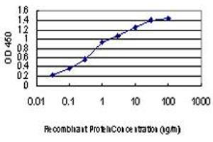 Detection limit for recombinant GST tagged MAP3K1 is approximately 0. (MAP3K1 antibody  (AA 1211-1310))