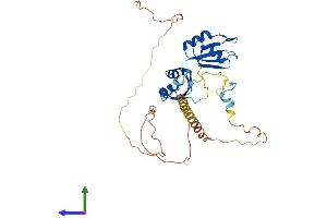 Protein Structure (PS) image for RNA Binding Motif Protein 4 (RBM4) (AA 1-364) protein (His tag) (ABIN7555159)