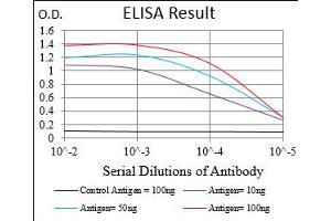Black line: Control Antigen (100 ng), Purple line: Antigen(10 ng), Blue line: Antigen (50 ng), Red line: Antigen (100 ng), (Cyclin A antibody  (AA 105-233))