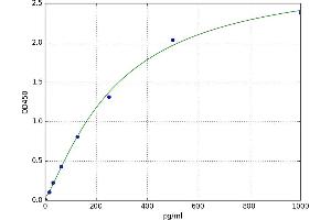 Monoamine Oxidase B (MAOB) ELISA Kit